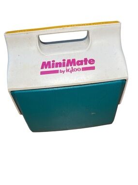 VTG 90’s Mini Mate Cooler Igloo Retro Teal Purple Travel Camping Lunch Box USED